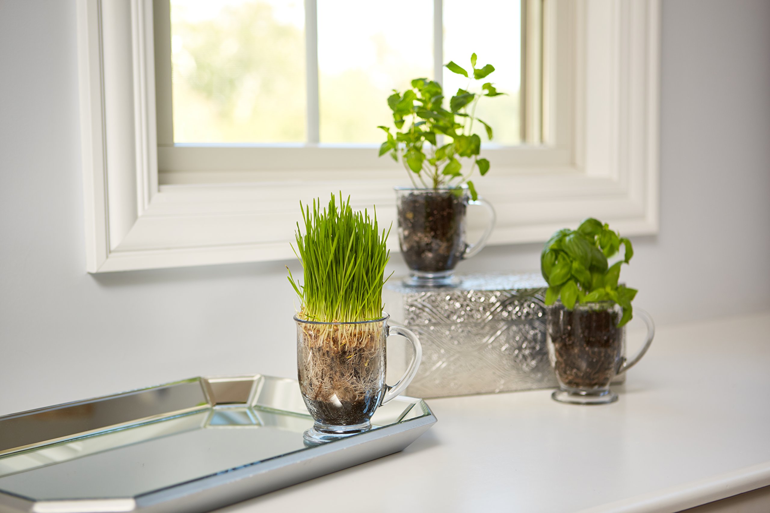 Anchor Hocking Café Glass Coffee Mugs, 16 oz, Set of 6 - Image 5